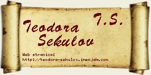 Teodora Sekulov vizit kartica